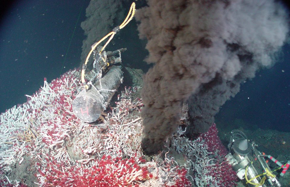 A deep-sea hydrothermal vent